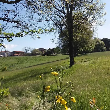 Les Hirondelles De Montsec *