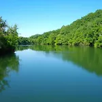 Les Hirondelles De Montsec * Pampelonne