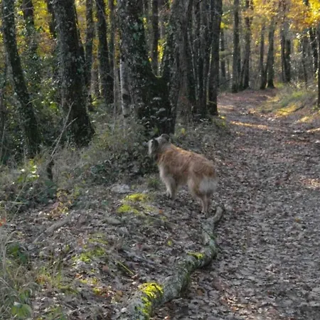 Les Hirondelles De Montsec Feriehus Pampelonne