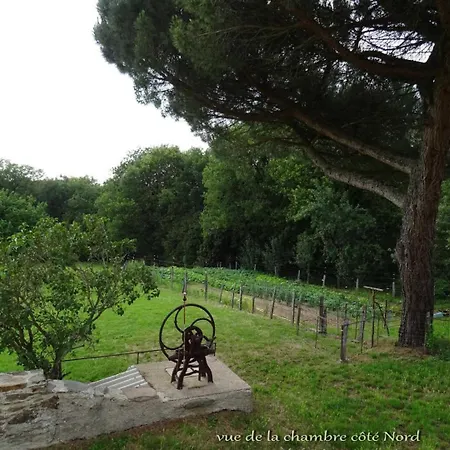 Les Hirondelles De Montsec