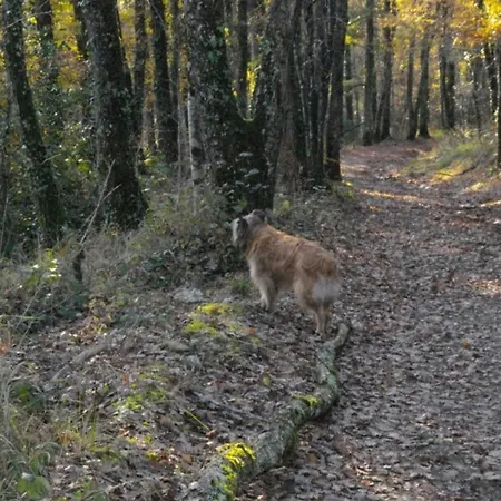 Semesterbostad Les Hirondelles De Montsec Pampelonne